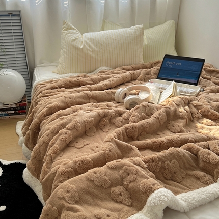 91家纺网 家纺一手货源 找家纺 （总）六巷胡同 2024新款INS云朵花舒棉绒羊羔绒毛毯