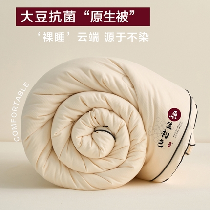 91家纺网 家纺一手货源 找家纺 （总）维洋家纺 2025新款原生初色提花大豆被-单被