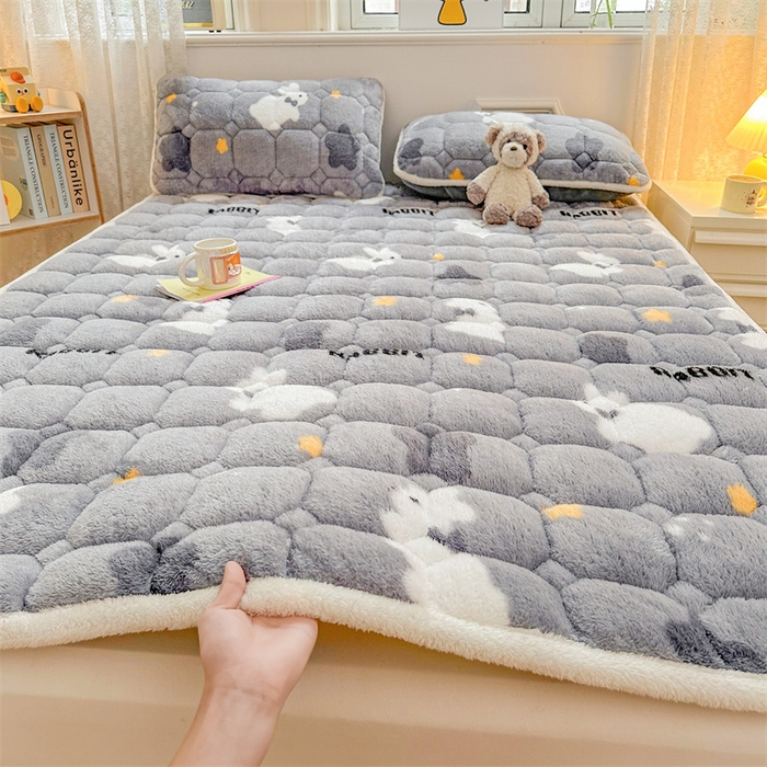 91家纺网 家纺一手货源 找家纺 雯豆家纺 2024新款泰迪绒床垫床护垫加厚北极绒床褥子印花小清新床垫子 泰迪绒床褥-尤拉