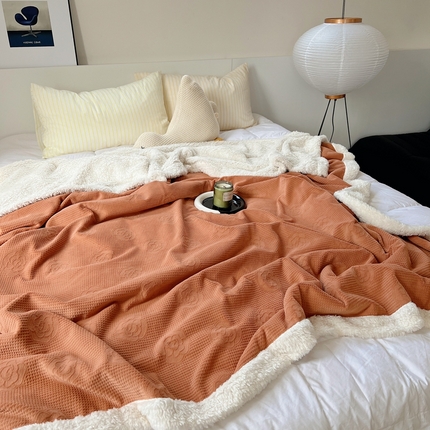 91家纺网 家纺一手货源 找家纺 六巷胡同 2024新款小红书博主风山茶花羊羔绒毯子 焦糖