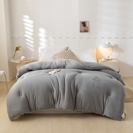寐居家纺 2024新款双层纱大豆抗菌被被子被芯 深灰-