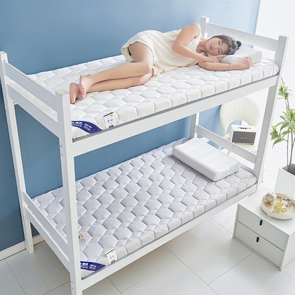 2024新款牛奶丝记忆海绵床垫-宿舍款 灰色