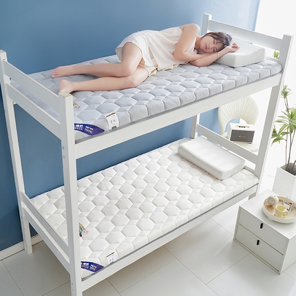 2024新款牛奶丝记忆海绵床垫-宿舍款 白色