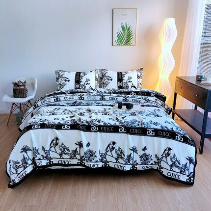 91家纺网 家纺一手货源 找家纺 （总）伊凡毯业 2025新款260克云貂绒毛毯盖毯子直播爆款跑量毛毯