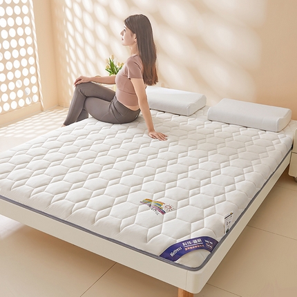 2024新款牛奶丝记忆海绵床垫-成人款 白色