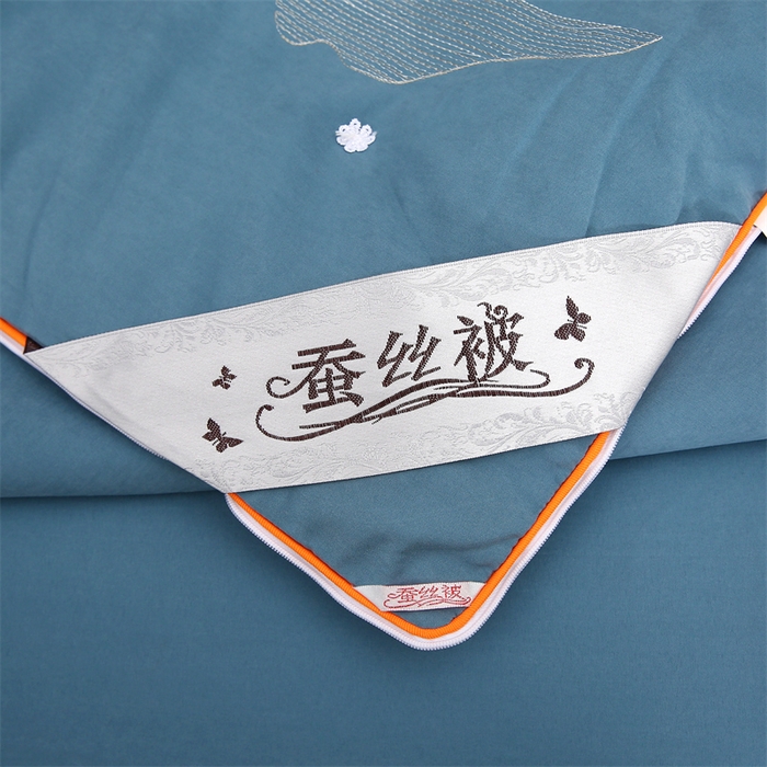 91家纺网 家纺一手货源 找家纺 恒鑫 2025新款全棉绣花桑蚕丝冬被春秋被拉链二合一子母被 青雾蓝