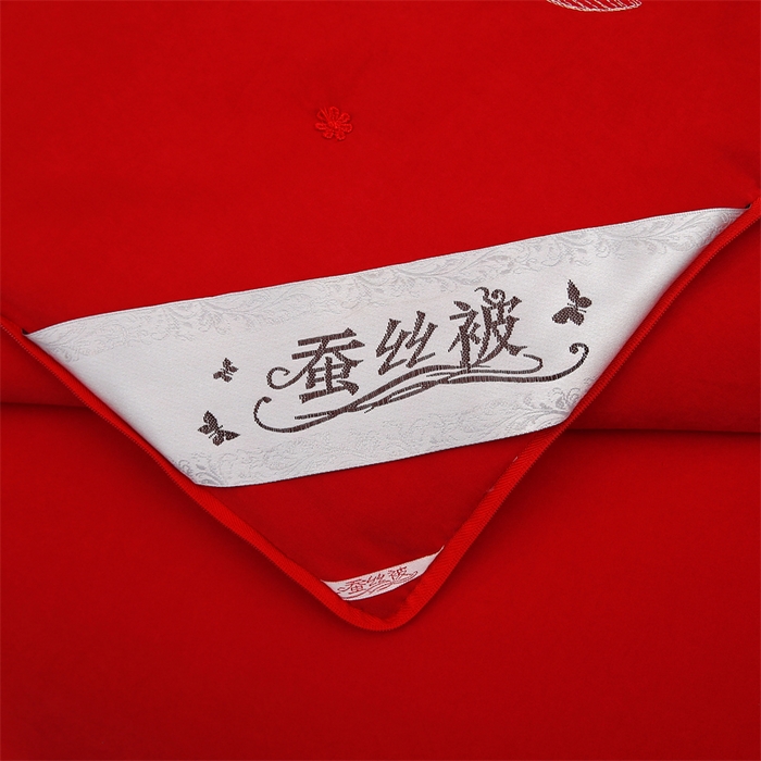 91家纺网 家纺一手货源 找家纺 恒鑫 2025新款全棉绣花桑蚕丝冬被春秋被拉链二合一子母被 红色