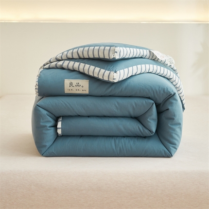 （总）2024新款b类简约条纹立体大豆纤维冬被被子被芯