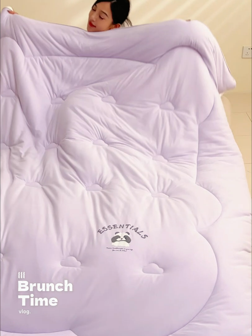 91家纺网 家纺一手货源 找家纺 2024新款b类针织德绒猫猫大豆冬被被子被芯 猫猫被-浅紫