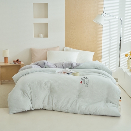 子由 2024新款b类泡泡格7A抗菌大豆纤维冬被被子被芯 泡泡格-浅灰