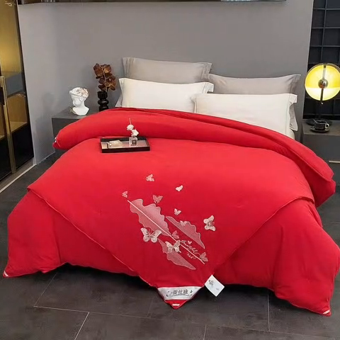 91家纺网 家纺一手货源 找家纺 恒鑫 2025新款全棉绣花桑蚕丝冬被春秋被拉链二合一子母被 红色