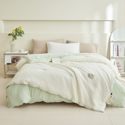 子由 2024新款b类良品格子母冬被被子被芯 子母被-白+绿