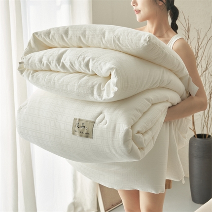 2024新款b类100%纯棉水洗棉提花大豆纤维冬被 纯棉方格 日系风