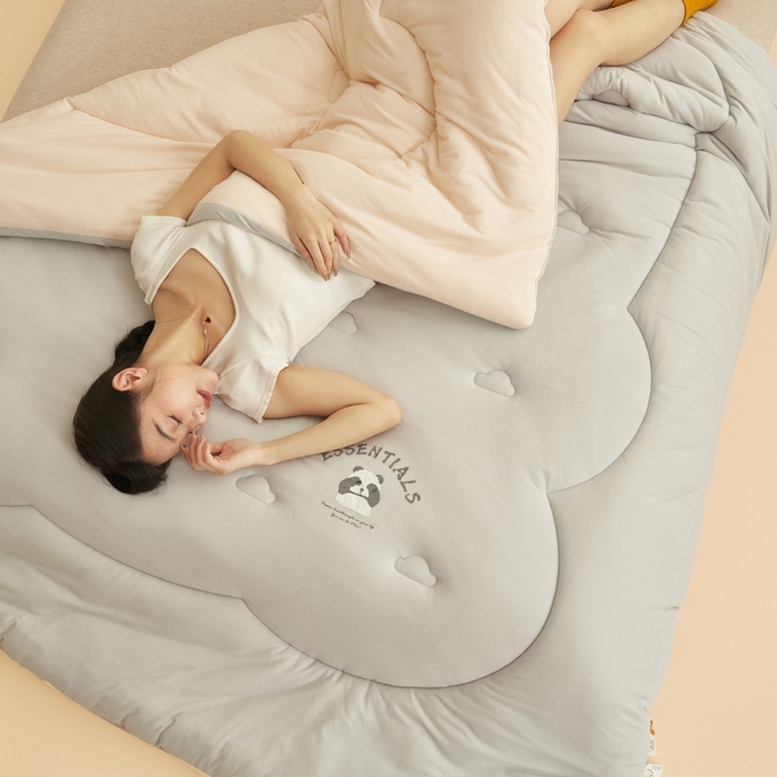 91家纺网 家纺一手货源 找家纺 2024新款b类针织德绒猫猫大豆冬被被子被芯 猫猫被-淡灰