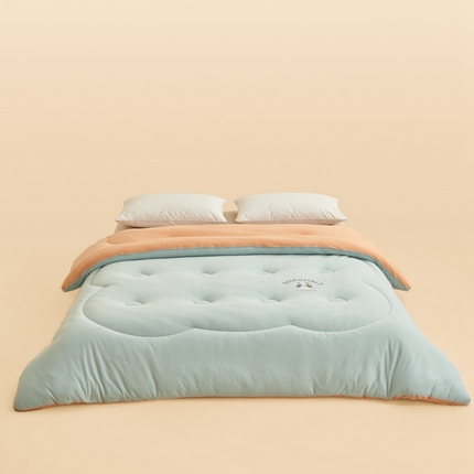 2024新款b类针织德绒猫猫大豆冬被被子被芯 猫猫被-浅绿