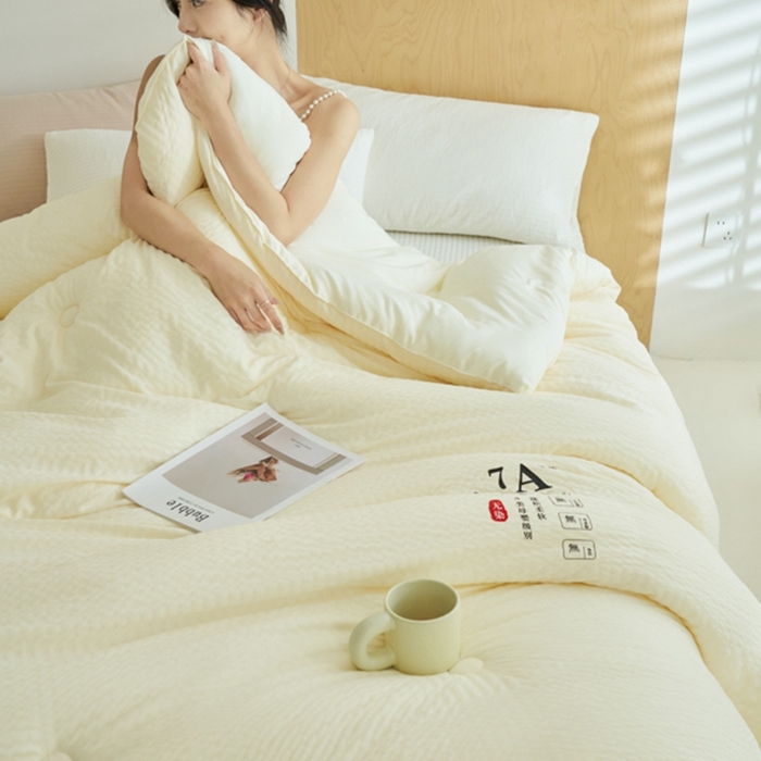 91家纺网 家纺一手货源 找家纺 子由 2024新款b类泡泡格7A抗菌大豆纤维冬被被子被芯 泡泡格-奶昔白