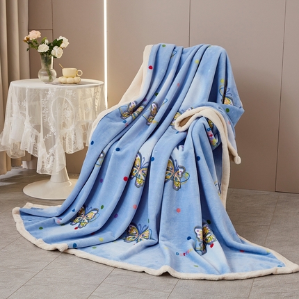 91家纺网 家纺一手货源 找家纺 2025新款A面欧棉绒B面北极绒复合毛毯盖毯毯子 彩蝶兰