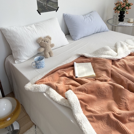 91家纺网 家纺一手货源 找家纺 （总）六巷胡同 2024新款小红书博主风山茶花羊羔绒毯子毛毯午睡毯-风格二