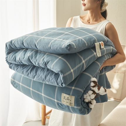 （总）2024新款b类无印风100%新疆棉花冬被被子被芯