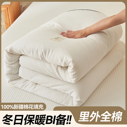 91家纺网 家纺一手货源 找家纺 2024新款b类纯棉华夫格提花100%新疆棉花冬被 风格一 华夫格棉花被-本白