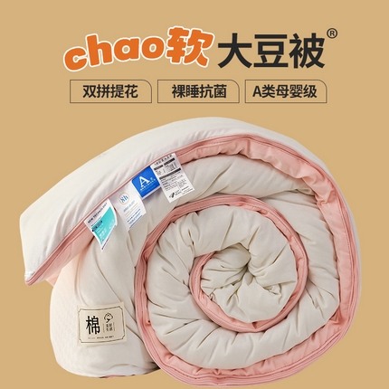 91家纺网 家纺一手货源 找家纺 总好宜2025新款原棉双拼提花大豆被二合一拉链款子母被春秋冬被子夏被学生宿舍被褥