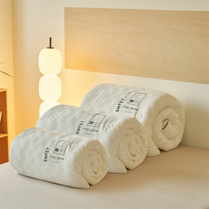 （总）2024新款b类纯棉原棉提花100%新疆棉花冬被 风格二