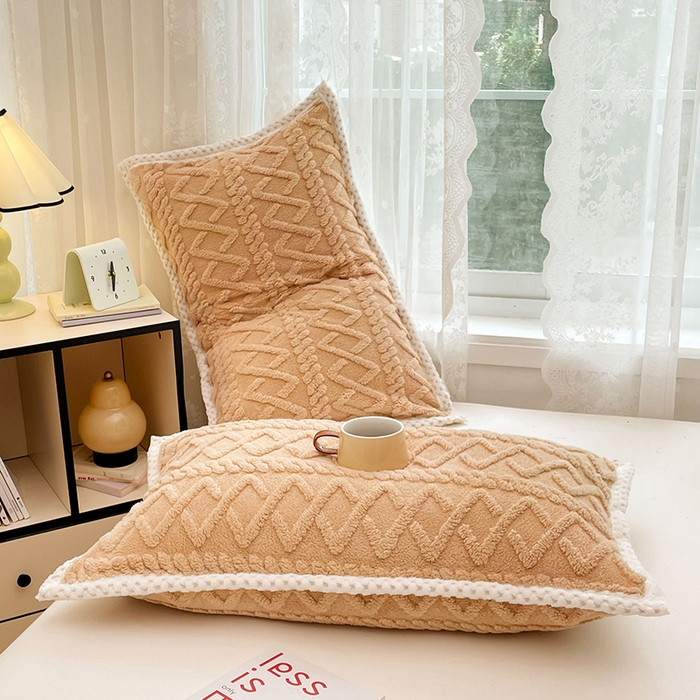 91家纺网 家纺一手货源 找家纺 梦舒羽  2025新款220克高克重塔芙绒枕套枕芯套宿舍枕头套单人一对装 优雅咖