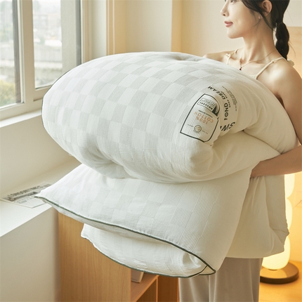 91家纺网 家纺一手货源 找家纺 （总）2024新款b类纯棉原棉提花100%新疆棉花冬被 风格二