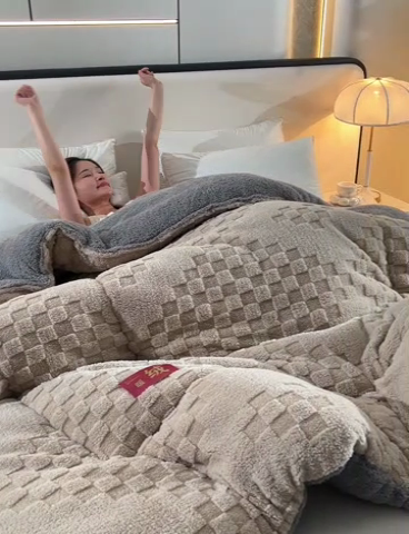 91家纺网 家纺一手货源 找家纺 2025全新塔芙绒冬被加厚牛奶绒羊羔绒被子被芯 暖绒卡其