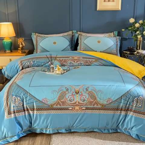 91家纺网 家纺一手货源 找家纺 梵克保罗 2024秋冬新款有氧臻棉绒数码印花9斤四件套（控价+100） 柏林-兰