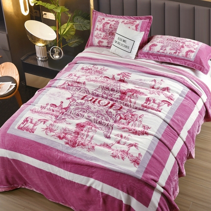 91家纺网 家纺一手货源 找家纺 （总）好艺佳毛毯 2025新款升级多功能3D数码印花毛毯 被套两用拉舍尔云毯