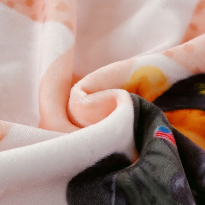 91家纺网 家纺一手货源 找家纺 好艺佳毛毯 2025新款升级多功能3D数码印花毛毯 被套两用拉舍尔云毯 小熊棋盘格