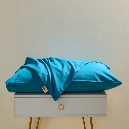 91家纺网 家纺一手货源 找家纺 （总）2025100%纯棉13376纯色喷气全棉磨毛枕套单件素色加厚保暖48*74单品枕套40*60