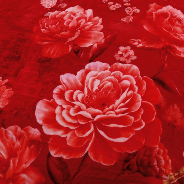 91家纺网 家纺一手货源 找家纺 好艺佳毛毯 2025新款升级多功能3D数码印花毛毯 被套两用拉舍尔云毯 良辰美景-大红