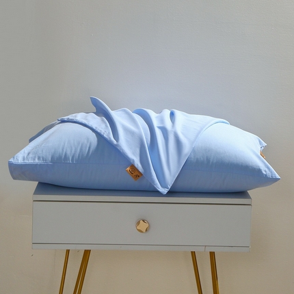 晶缦家纺 2024新款全棉13376纯色喷气全棉磨毛单品枕套 暖芸馨-淡天兰