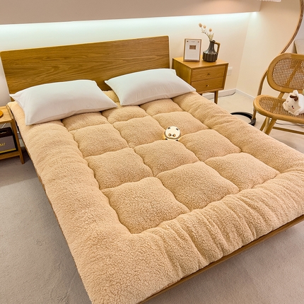 91家纺网 家纺一手货源 找家纺 （总）蕾诺家纺 2024新款保暖羊羔绒暖冬季加厚床垫成人款