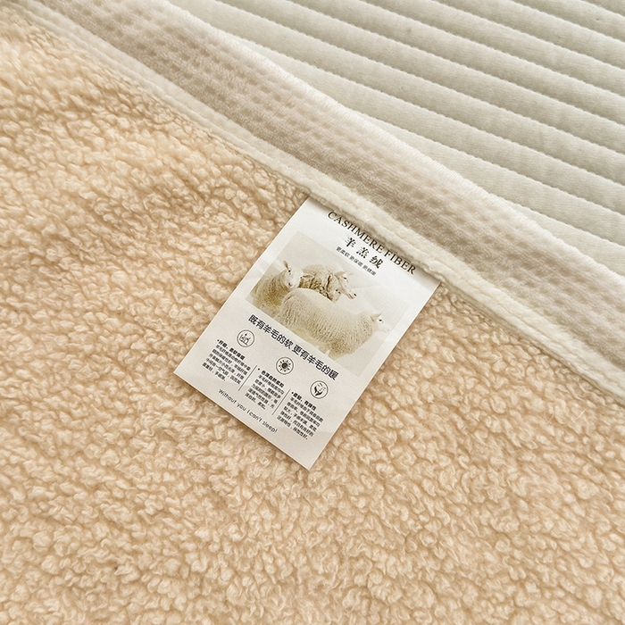 91家纺网 家纺一手货源 找家纺 沐棉 2024新款牛奶绒菠萝格包边羊羔绒泰迪绒毛毯-静物图 奶茶色