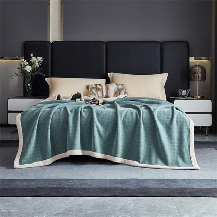 2024新款雪妮尔四季毛毯毯子家用毛毛毯毯子 淡蓝