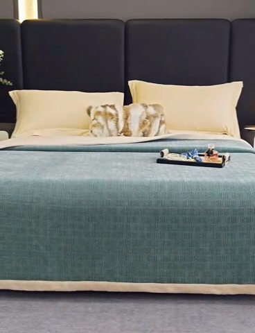 91家纺网 家纺一手货源 找家纺 2024新款雪妮尔四季毛毯毯子家用毛毛毯毯子 淡蓝