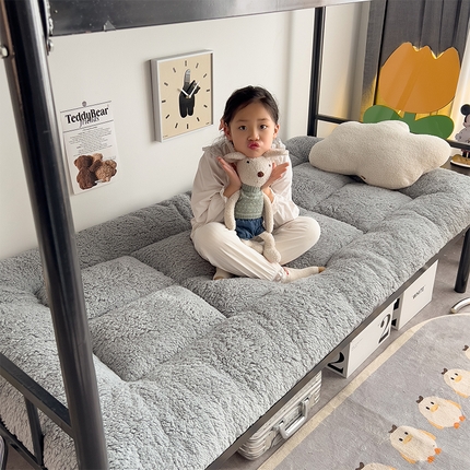 91家纺网 家纺一手货源 找家纺 （总）蕾诺家纺 2024新款保暖羊羔绒暖冬季加厚床垫学生款