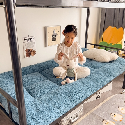 91家纺网 家纺一手货源 找家纺 （总）蕾诺家纺 2024新款保暖羊羔绒暖冬季加厚床垫学生款