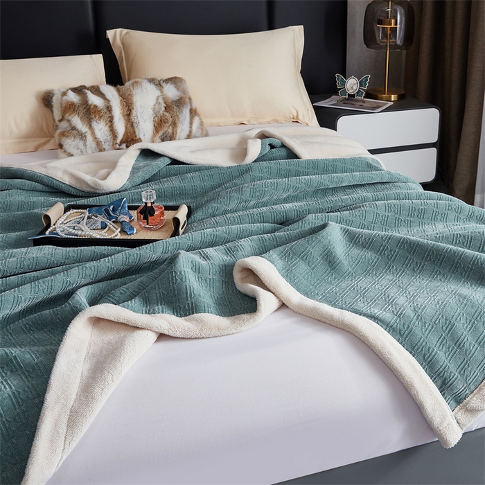 91家纺网 家纺一手货源 找家纺 2024新款雪妮尔四季毛毯毯子家用毛毛毯毯子 淡蓝