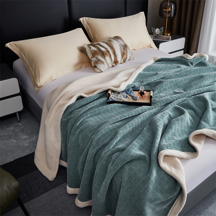 91家纺网 家纺一手货源 找家纺 2024新款雪妮尔四季毛毯毯子家用毛毛毯毯子 淡蓝