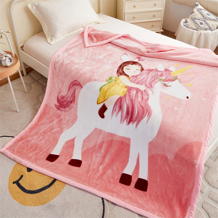 91家纺网 家纺一手货源 找家纺 凯轩毛毛毯毯子网销专供 2024新款双层学生云毛毯毯子 公主梦