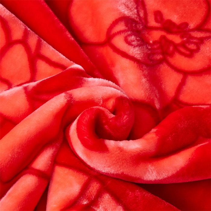 91家纺网 家纺一手货源 找家纺 凯轩毛毛毯毯子网销专供 2024新款A类双层云毛毯毯子 花印象