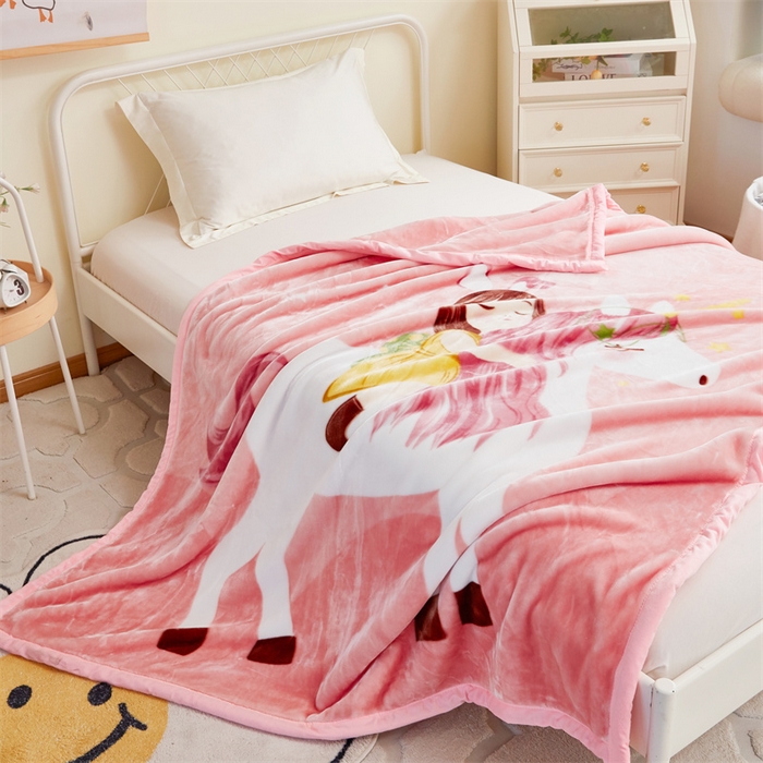 91家纺网 家纺一手货源 找家纺 凯轩毛毛毯毯子网销专供 2024新款双层学生云毛毯毯子 公主梦