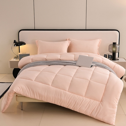 圣楚家纺 2024新款A类素色亲肤冬被 素净玉