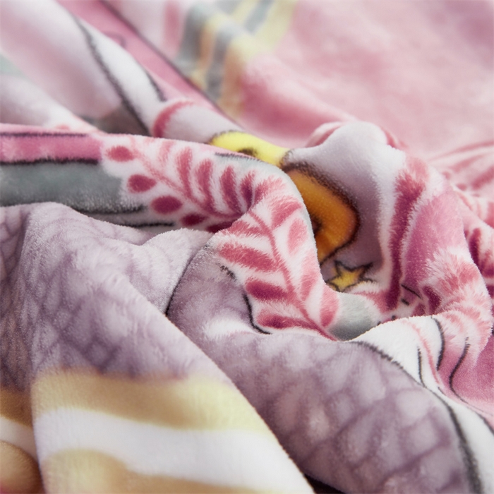 91家纺网 家纺一手货源 找家纺 凯轩毛毛毯毯子网销专供 2024新款双层学生云毛毯毯子 欢乐