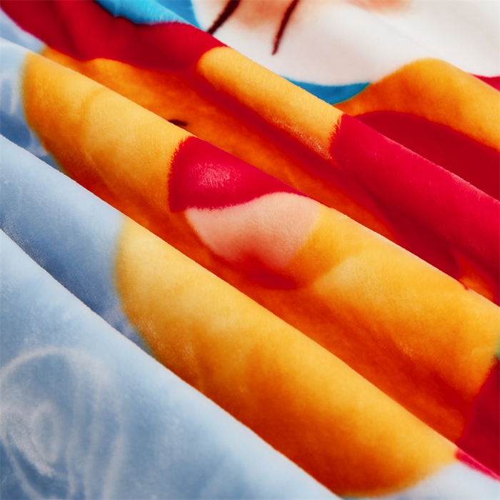 91家纺网 家纺一手货源 找家纺 凯轩毛毛毯毯子网销专供 2024新款双层学生云毛毯毯子 小红帽