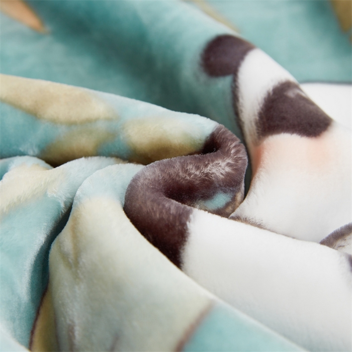 91家纺网 家纺一手货源 找家纺 凯轩毛毛毯毯子网销专供 2024新款双层学生云毛毯毯子 熊宝-蓝